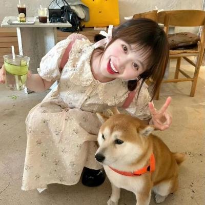 奇门密探粤语海报